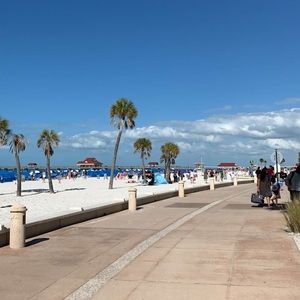 Meet your Posher, Dante